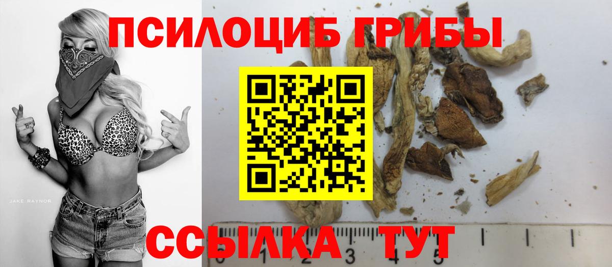 Галлюциногенные грибы Cubensis  Вход с VPN  Галлюциногенные грибы прущие грибы  как найти закладки  Знаменск 